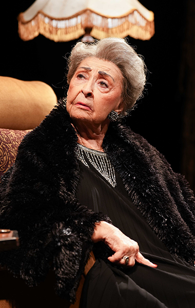 ההצגה מרציפנים עדה, אלמנתו של איש התיאטרון הנערץ שמואל המרשלג, שוקדת על ההכנות לקראת ערב הוקרה לזכרו.