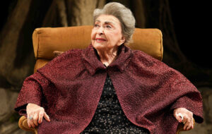 ההצגה מרציפנים עדה, אלמנתו של איש התיאטרון הנערץ שמואל המרשלג, שוקדת על ההכנות לקראת ערב הוקרה לזכרו.