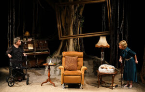 ההצגה מרציפנים עדה, אלמנתו של איש התיאטרון הנערץ שמואל המרשלג, שוקדת על ההכנות לקראת ערב הוקרה לזכרו.