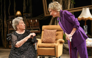 ההצגה מרציפנים עדה, אלמנתו של איש התיאטרון הנערץ שמואל המרשלג, שוקדת על ההכנות לקראת ערב הוקרה לזכרו.