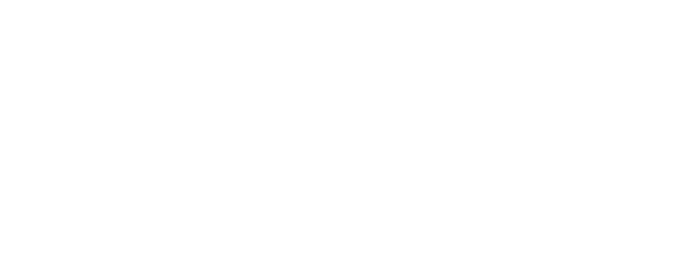 הבימה logo